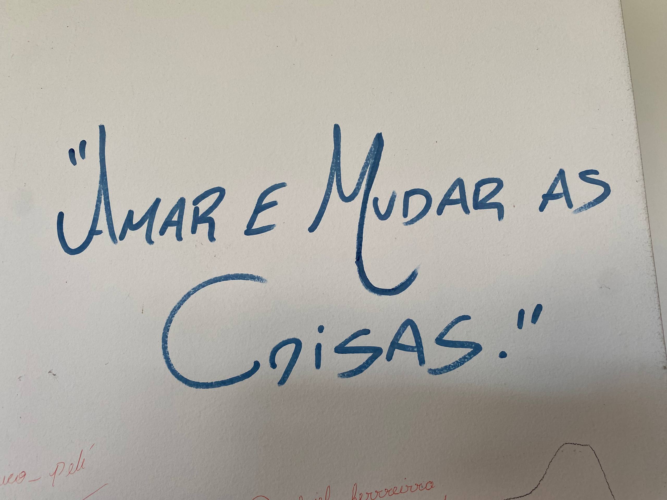 A imagem apresenta uma citação manuscrita feita com marcador azul sobre uma superfície branca. A frase, escrita em letras grandes e cursivas, diz: "'AMAR E MUDAR AS COISAS".