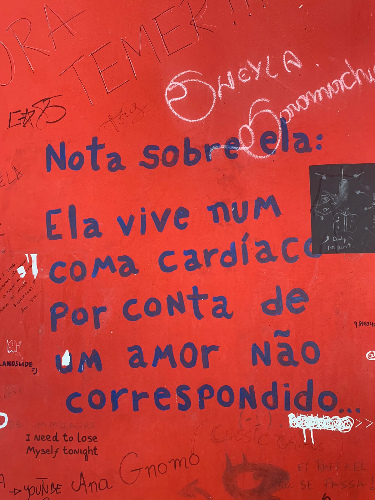 Em uma parede pintada de vermelho vibrante, coberta por diversas intervenções de grafite e escrita. Em destaque no centro, um poema é escrito em tinta azul, em letras grandes e arredondadas, que diz: "Nota sobre ela: Ela vive num coma cardíaco por conta de um amor não correspondido."